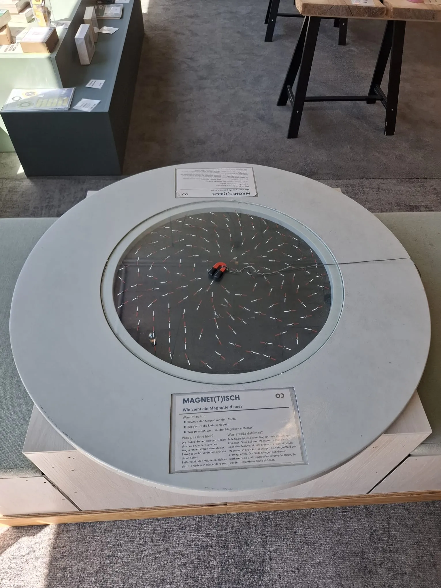 Magne(t)tisch, Exponat im Pop-up Science Center