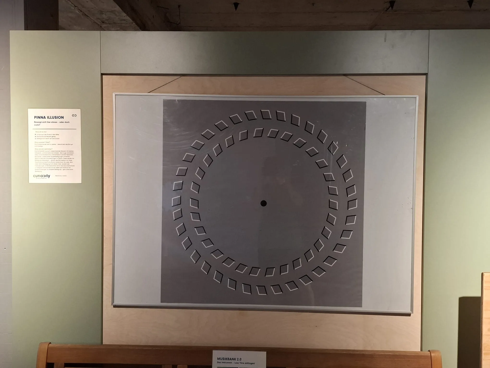 Pinna-Illusion, Exponat im Pop-up Science Center