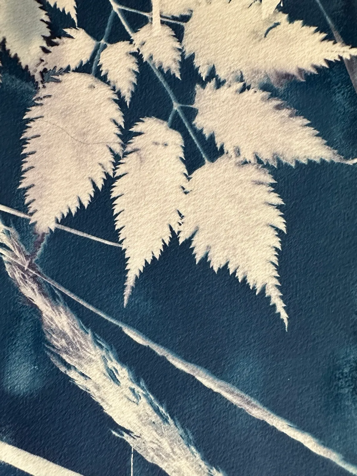 Kreatives Drucken mit UV-Licht, Cyanotypie-Workshop im curiocity Pop-up